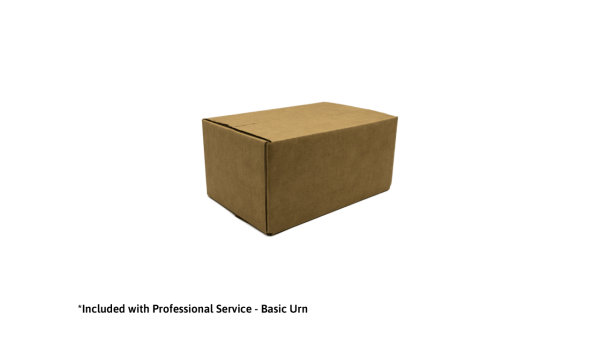 Cardboard Urn